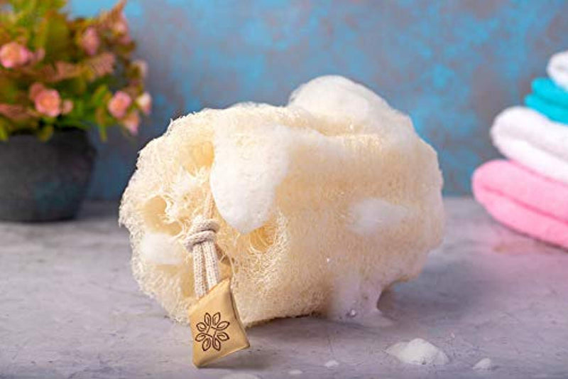 Natural Shower Loofah Sponge 6 Count