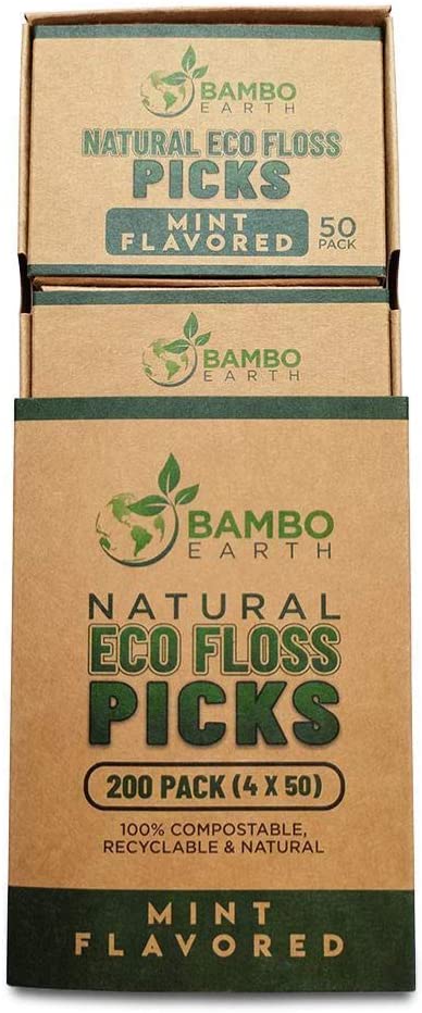 Natural Dental Floss Picks - Eco Friendly Cruelty Free Vegan Biodegradable Compostable BPA Free Zero Waste Packaging